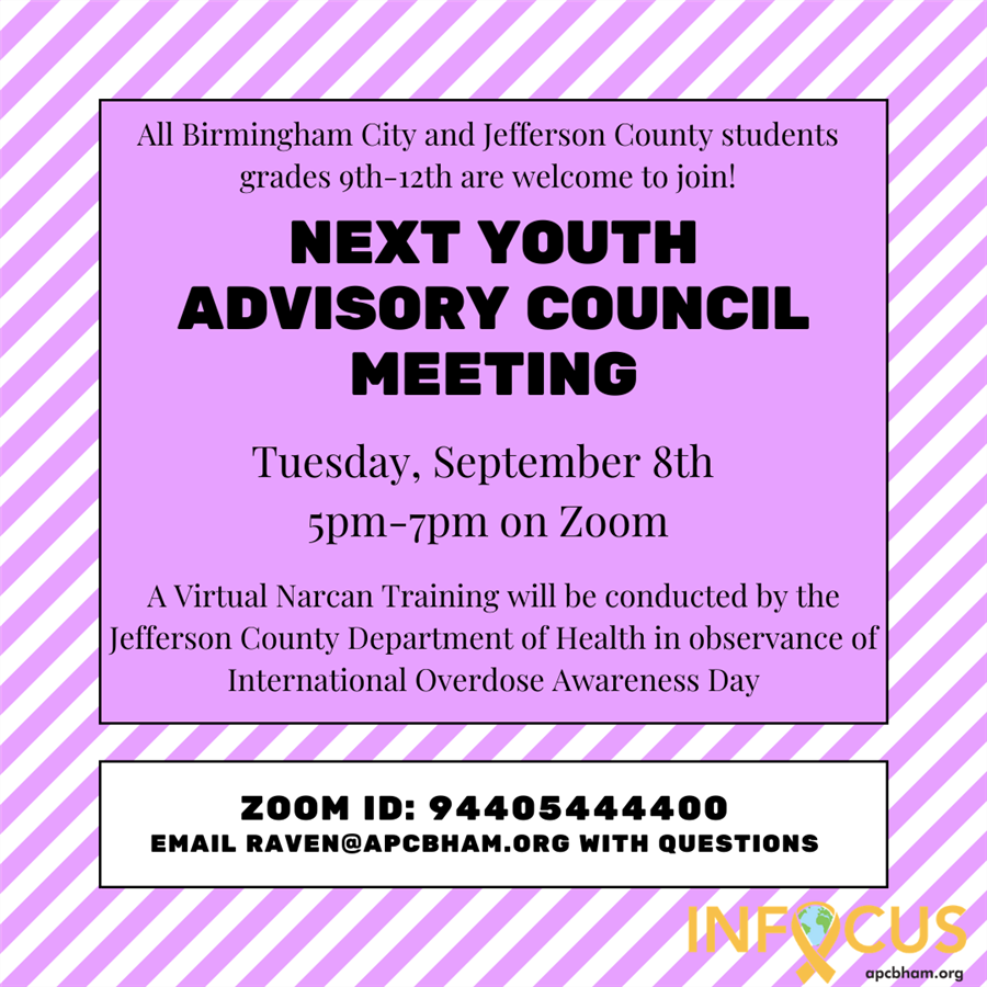 Next Youth Advisory Council Meeting (9/8/20 5-7pm on Zoom)
